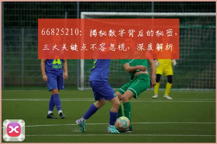 66825210：揭秘数字背后的秘密，三大关键点不容忽视，深度解析