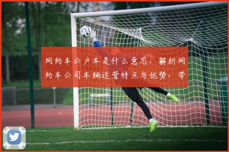 网约车公户车是什么意思，解析网约车公司车辆运营特点与优势，带你深入了解。