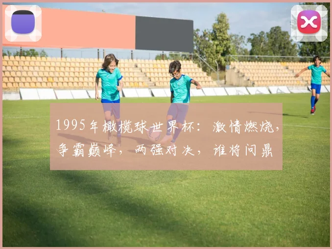 1995年橄榄球世界杯：激情燃烧，争霸巅峰，两强对决，谁将问鼎