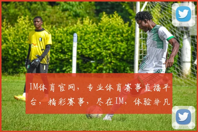 IM体育官网，专业体育赛事直播平台，精彩赛事，尽在IM，体验非凡